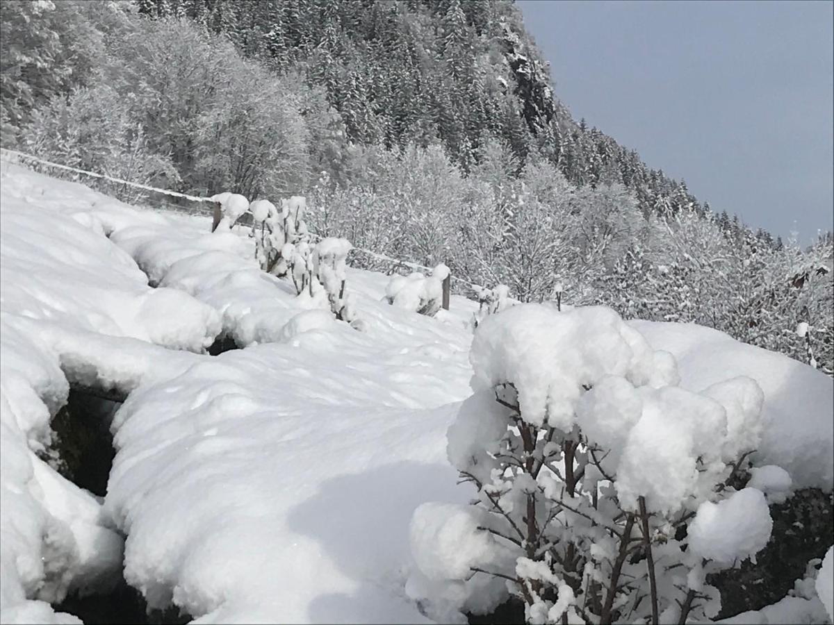 Willa Le Blanc Nordique Le Bouchet-Mont Charvin Zewnętrze zdjęcie