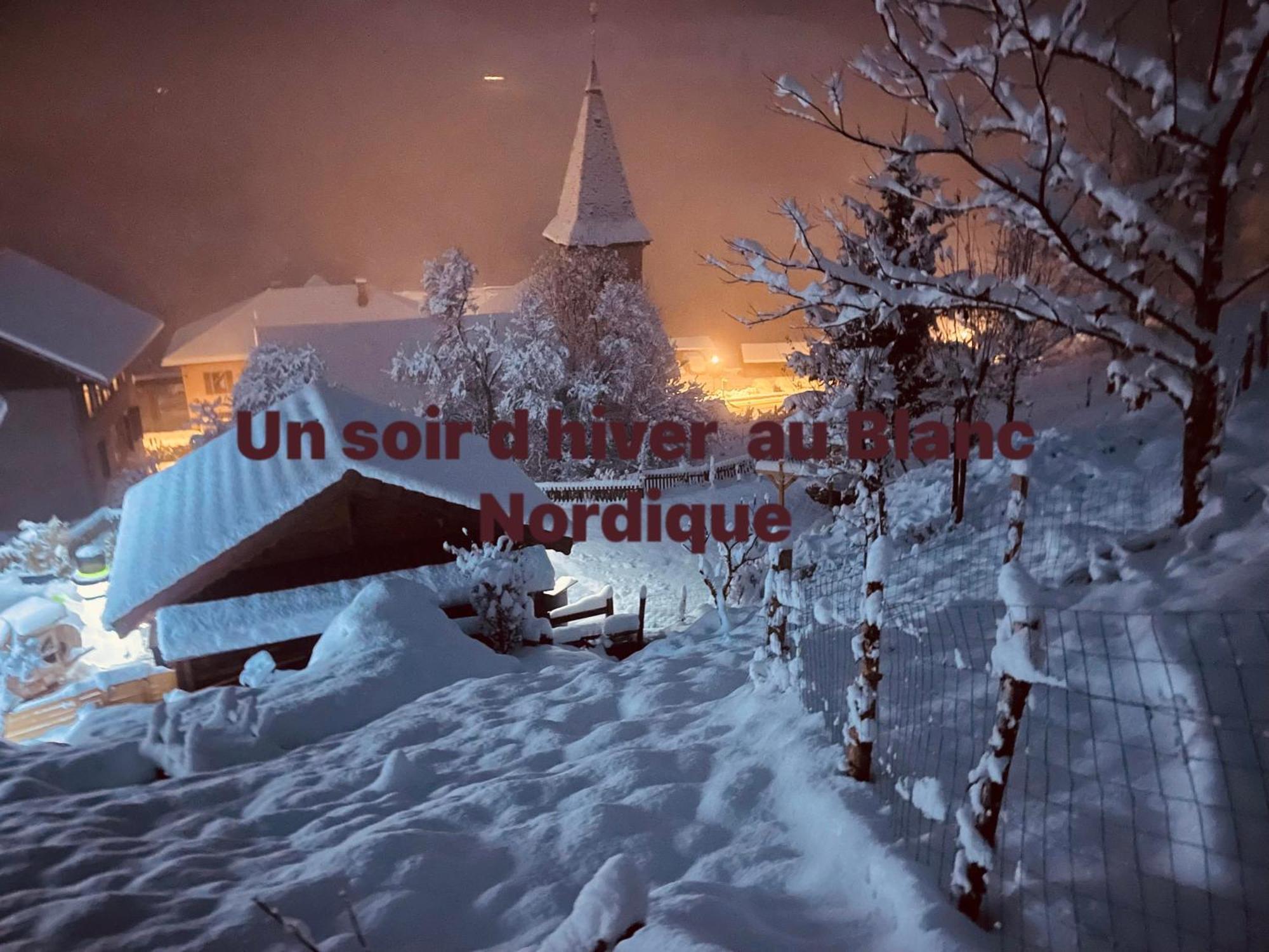 Willa Le Blanc Nordique Le Bouchet-Mont Charvin Zewnętrze zdjęcie